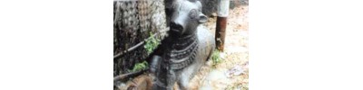 பையனூர்